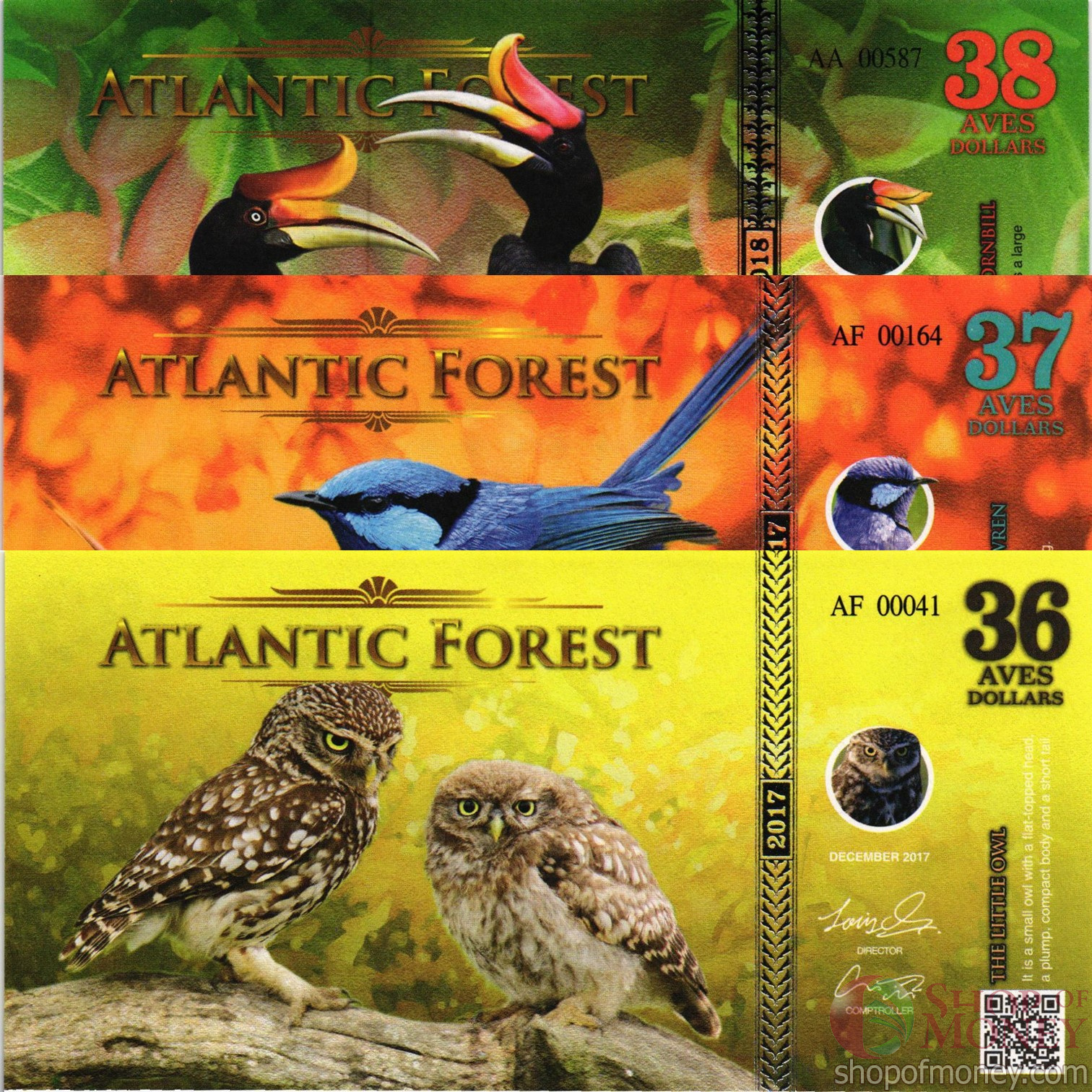 АТЛАНТИЧЕСКИЙ ЛЕС 36-37-38 ДОЛЛАРОВ