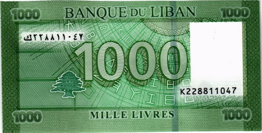 ЛИВАН 1000 ЛИВРОВ (ГИБРИД) мини 2