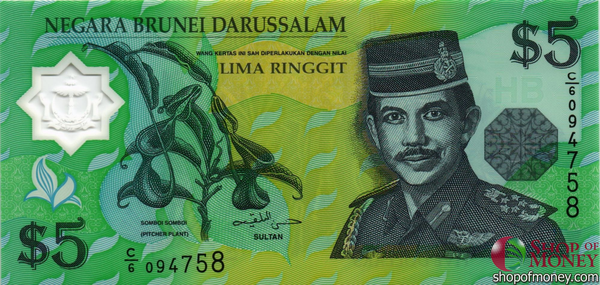 БРУНЕЙ 5 РИНГГИТ мини 1
