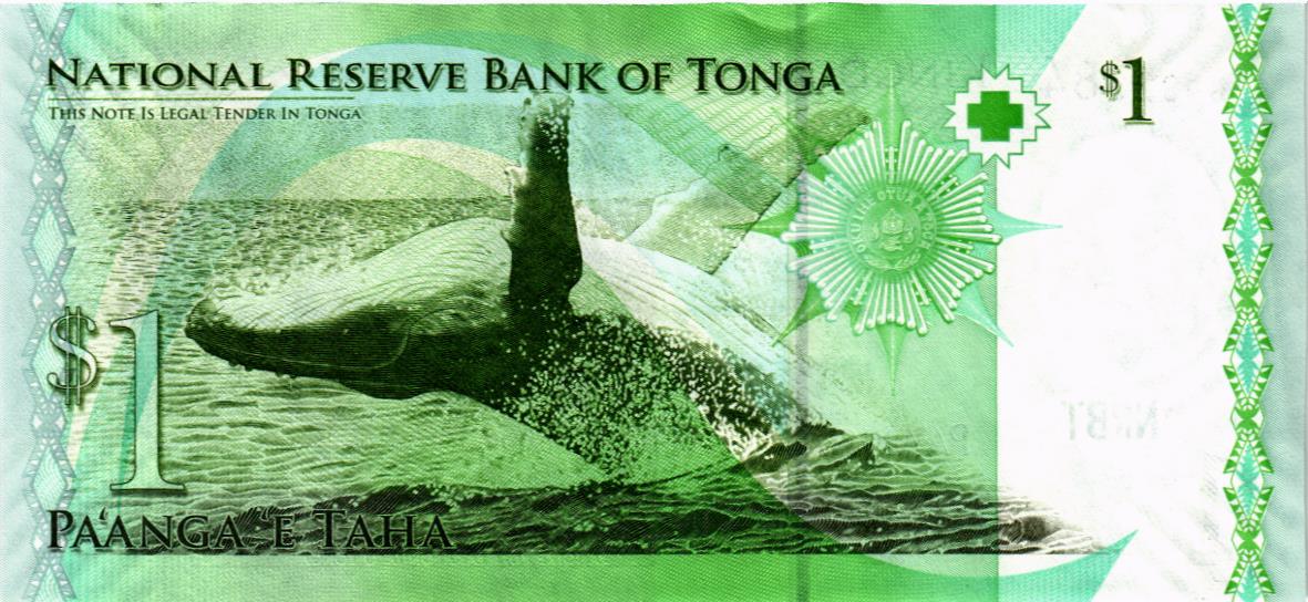 ТОНГА 1 ПААНГА мини 2