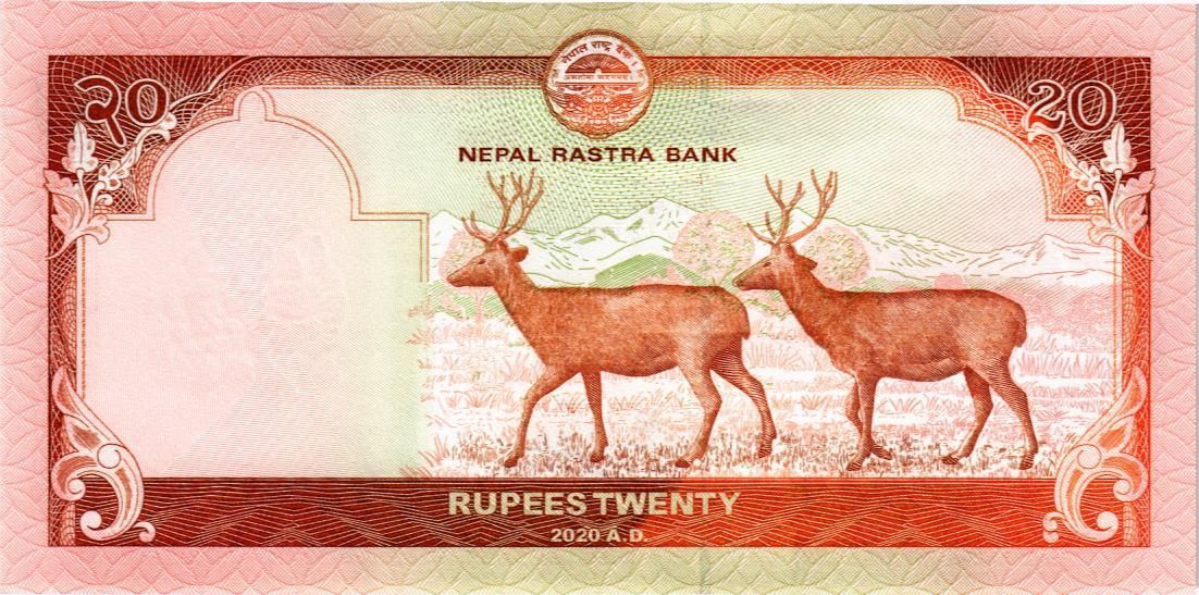 НЕПАЛ 20 РУПИЙ мини 2