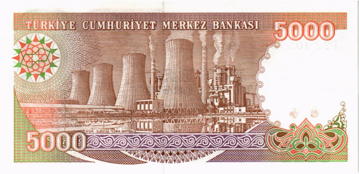 ТУРЦИЯ 5000 ЛИР мини 2