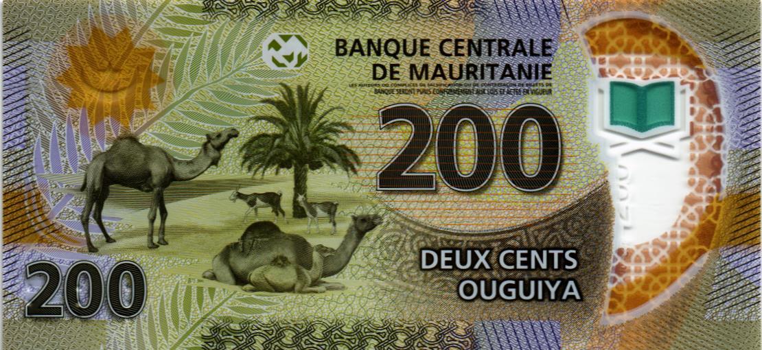 МАВРИТАНИЯ 200 УГИЙ мини 2