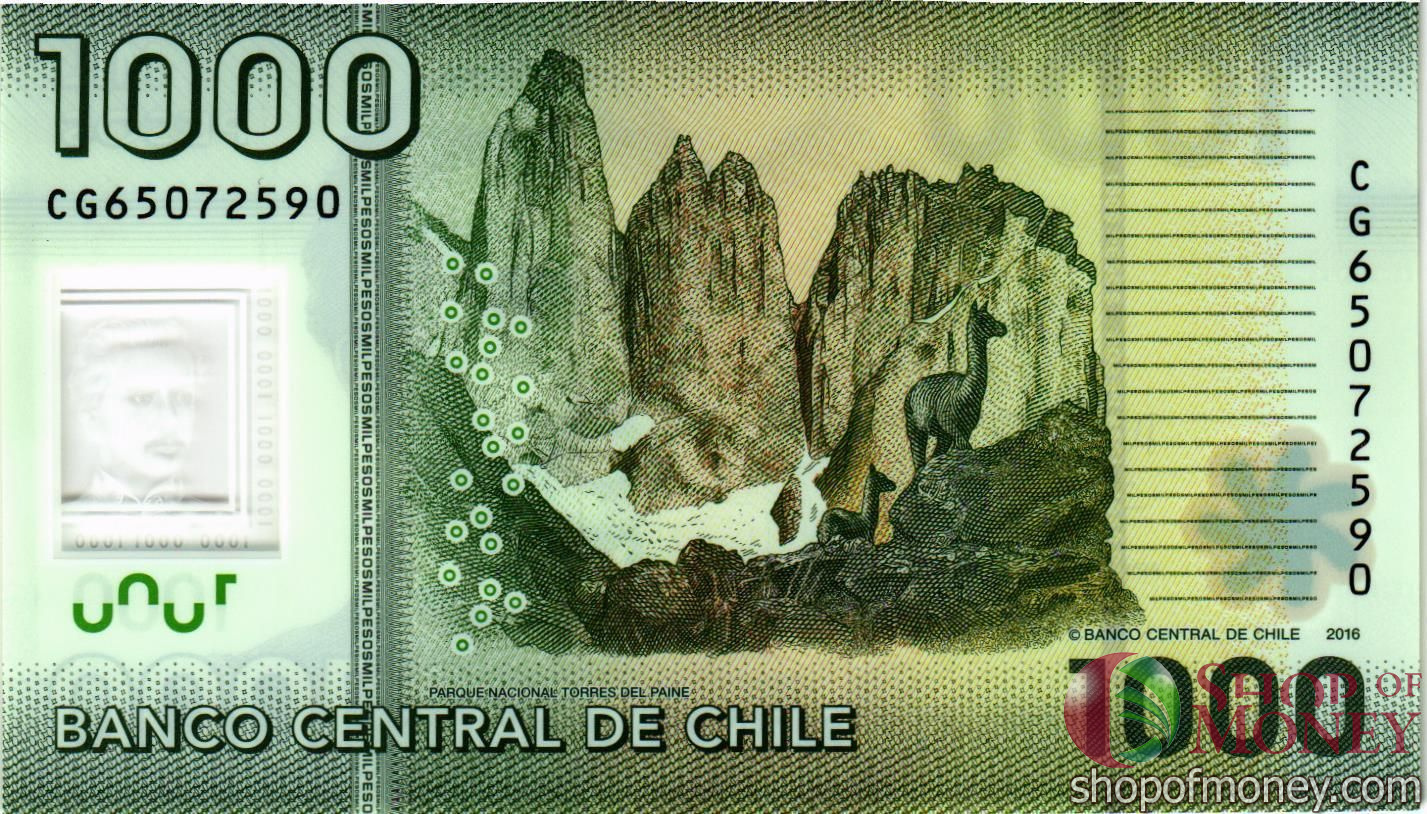 ЧИЛИ 5000 ПЕСОС мини 2