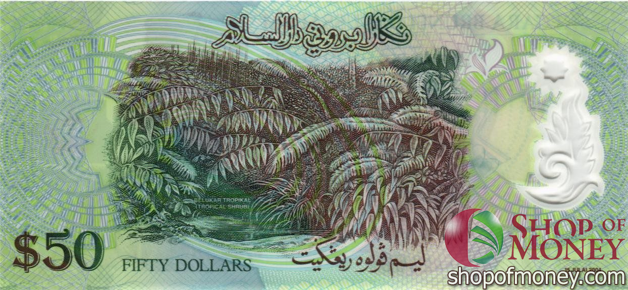 БРУНЕЙ 50 РИНГГИТ мини 2