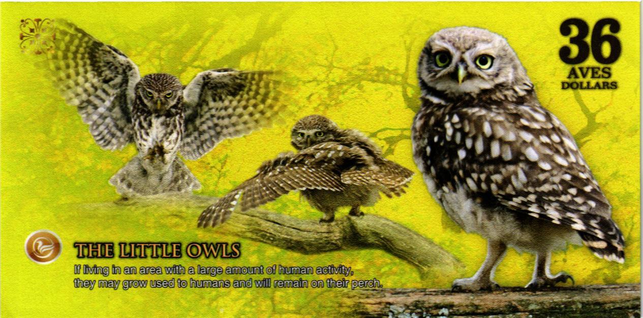 АТЛАНТИЧЕСКИЙ ЛЕС 36 ДОЛЛАРОВ мини 2