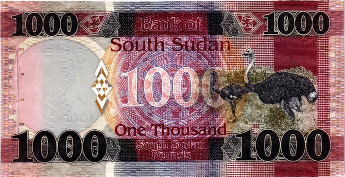 ЮЖНЫЙ СУДАН 1000 ФУНТОВ 2