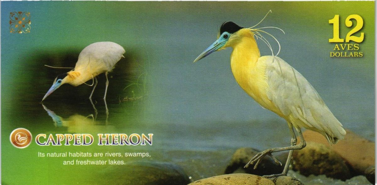 АТЛАНТИЧЕСКИЙ ЛЕС 12 ДОЛЛАРОВ 2