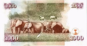 КЕНИЯ 1000 ШИЛЛИНГОВ 2