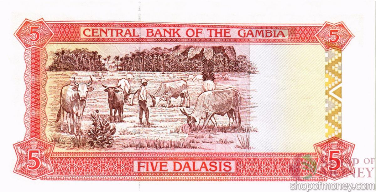 ГАМБИЯ 5 ДАЛАСИ 2