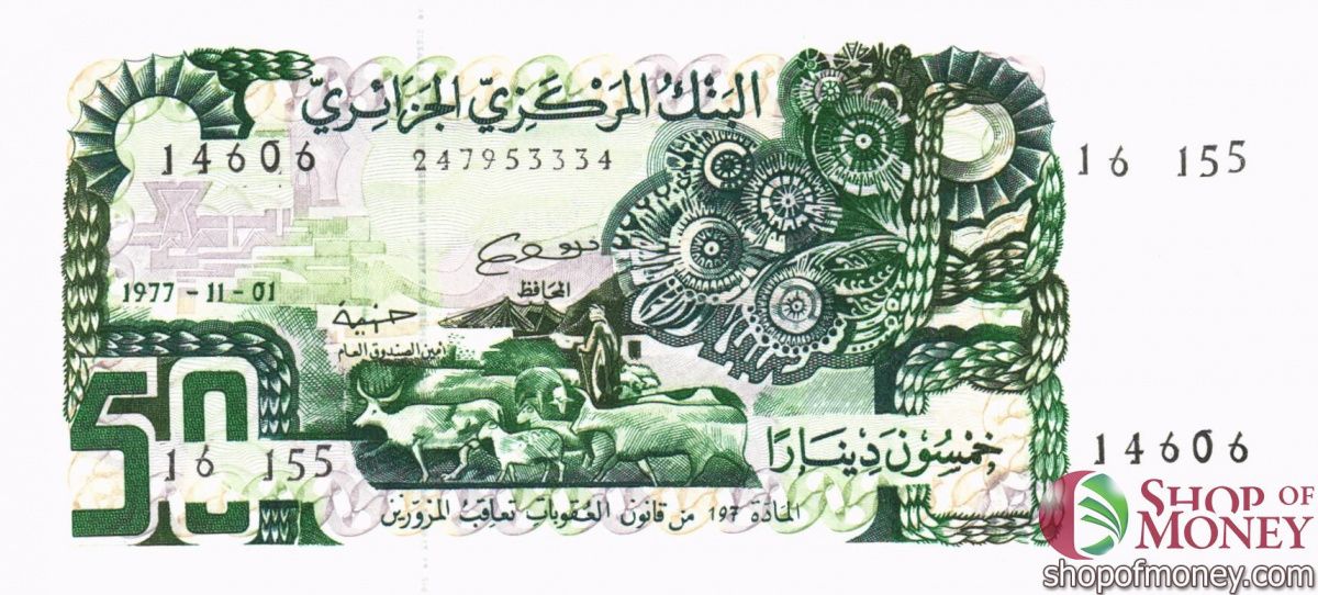 АЛЖИР 50 ДИНАР 1