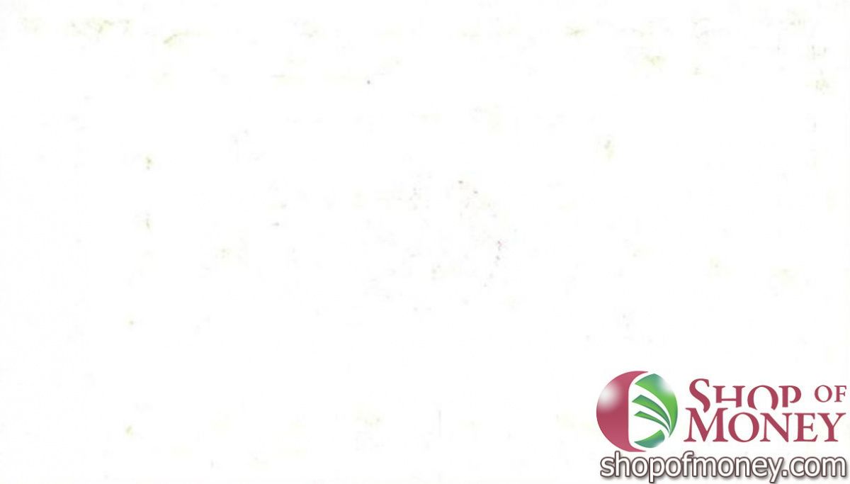 КИТАЙ (РИСОВЫЕ ДЕНЬГИ) ТАЛОН 2