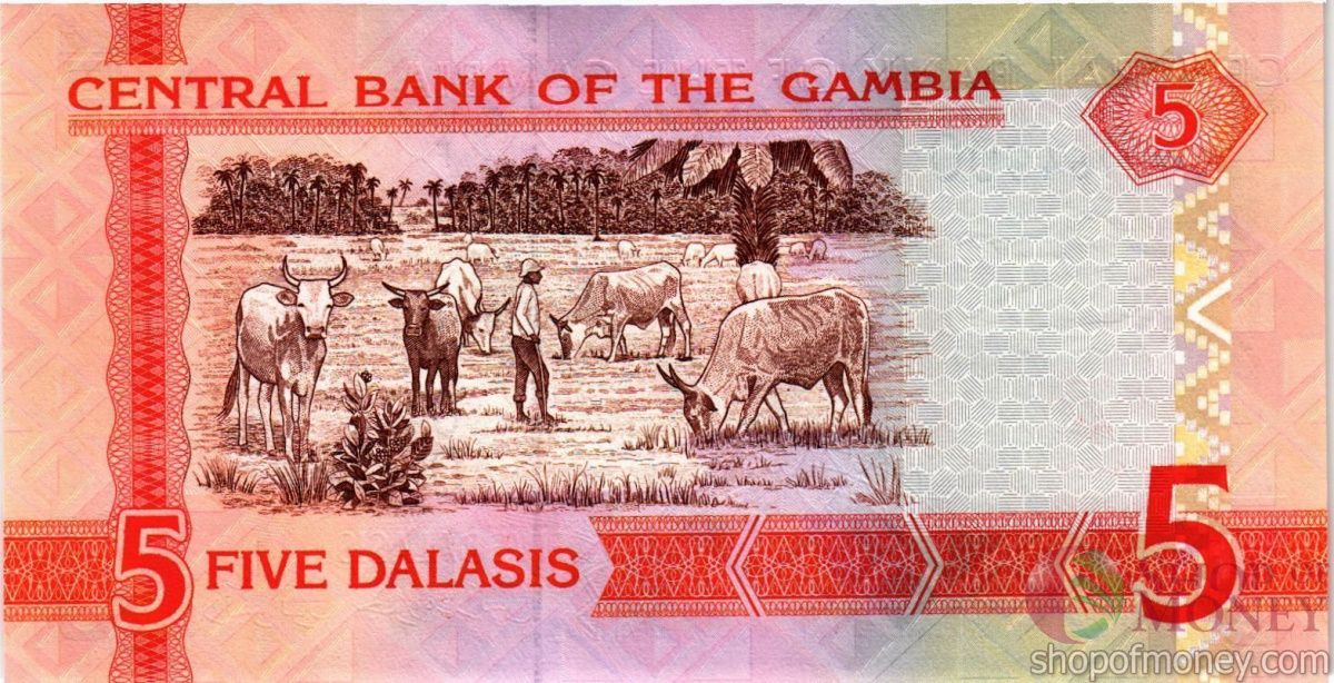 ГАМБИЯ 5 ДАЛАСИ 2