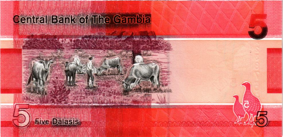 ГАМБИЯ 5 ДАЛАСИ 2