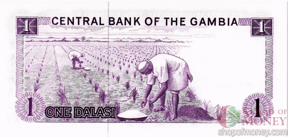 ГАМБИЯ 1 ДАЛАСИ 2