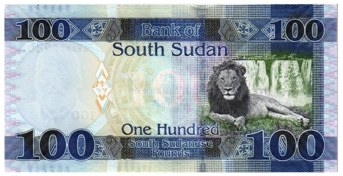 ЮЖНЫЙ СУДАН 100 ФУНТОВ 2