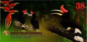 АТЛАНТИЧЕСКИЙ ЛЕС 38 ДОЛЛАРОВ 2