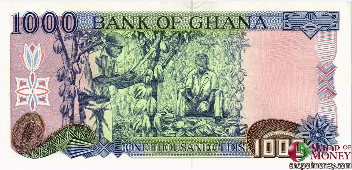 ГАНА 1000 СЕДИ 2