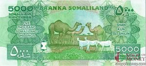 СОМАЛИЛЕНД 5000 ШИЛЛИНГОВ 2