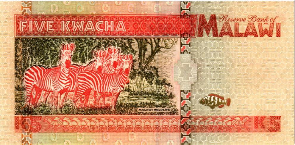 МАЛАВИ 5 КВАЧА 2