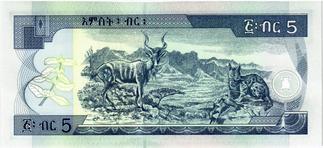 ЭФИОПИЯ 5 БЫР 2