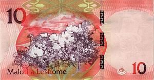 ЛЕСОТО 10 МАЛОТИ 2