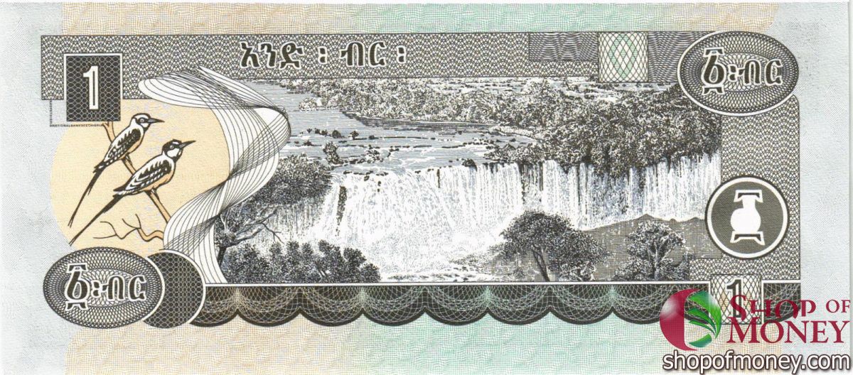 ЭФИОПИЯ 1 БЫРР 2