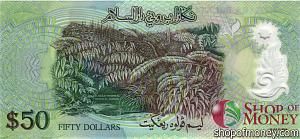 БРУНЕЙ 50 РИНГГИТ 2