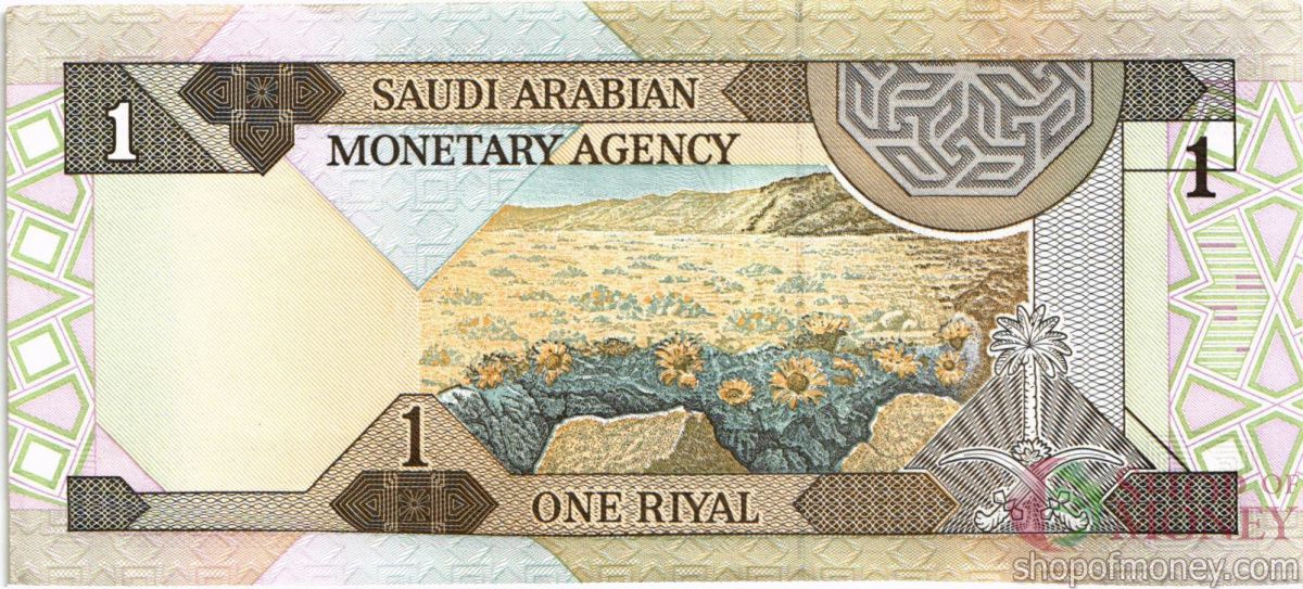 САУДОВСКАЯ АРАВИЯ 1 РИАЛ 2
